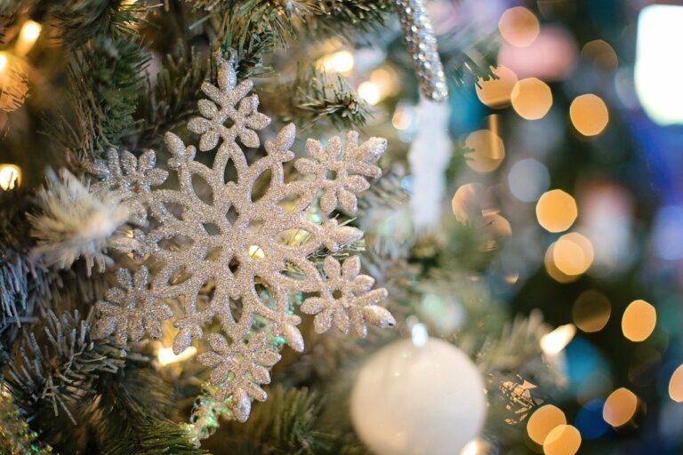 snowflake, ornaments, christmas tree-1823942.jpg